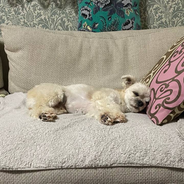 F25c8a9d 18e6 4419 8f61 c00fa12b4905 1637061742423