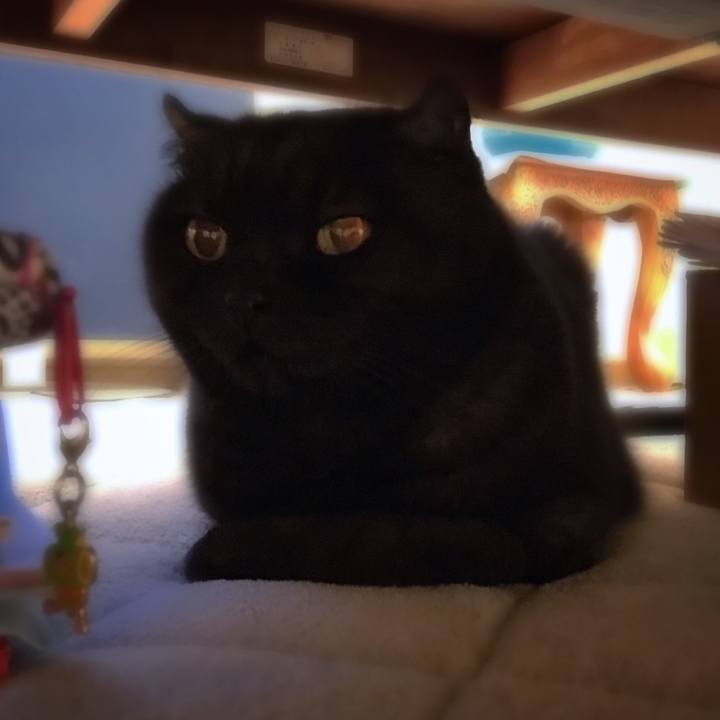 F25c8c92 61ed 434e bc16 9b9662cc6a10 1509540486358