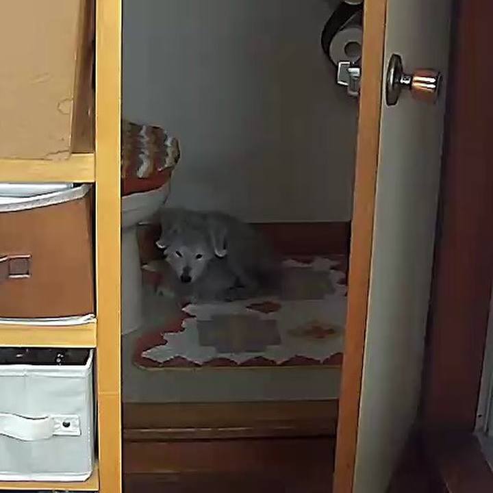 F25ca1c5 87b5 4187 84e4 77bb8c226cdb 1644464067377