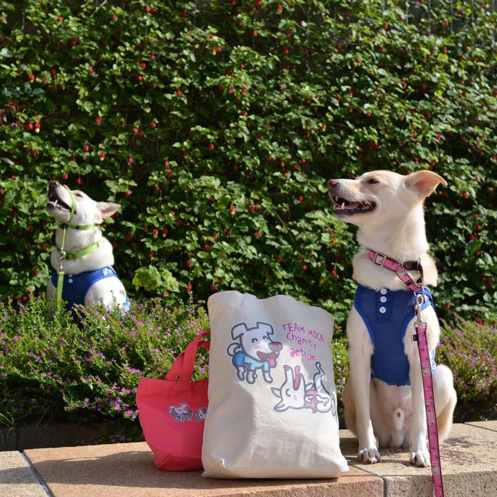 F25cd062 acbe 419b a4f8 b388e67c8982 1509165765316