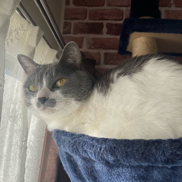 F25ceddc 4ab7 43d9 a671 b3945dc74b7a 1670633429664