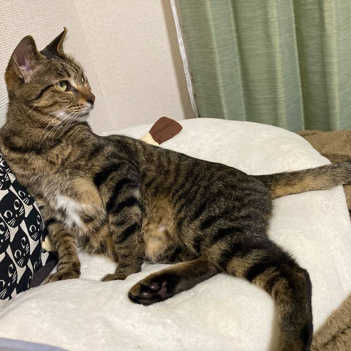 F25d0bb3 8fcd 498b 8c84 f73674e9a826 1681961577733