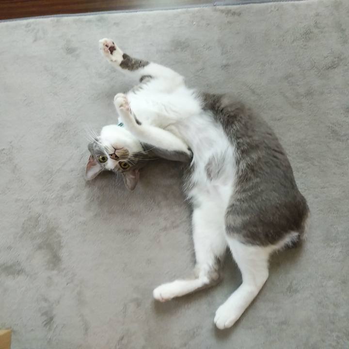 F25d613f 45ca 46ae 9394 b6057bf3d0c8 1592694048718