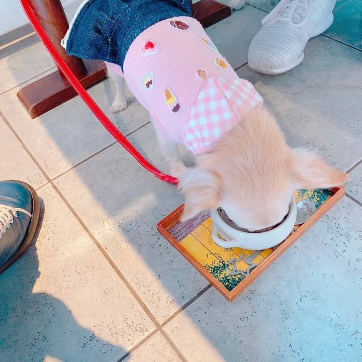 F25d739e 402e 4ea0 af8a 7dd209ca1439 1634019628582