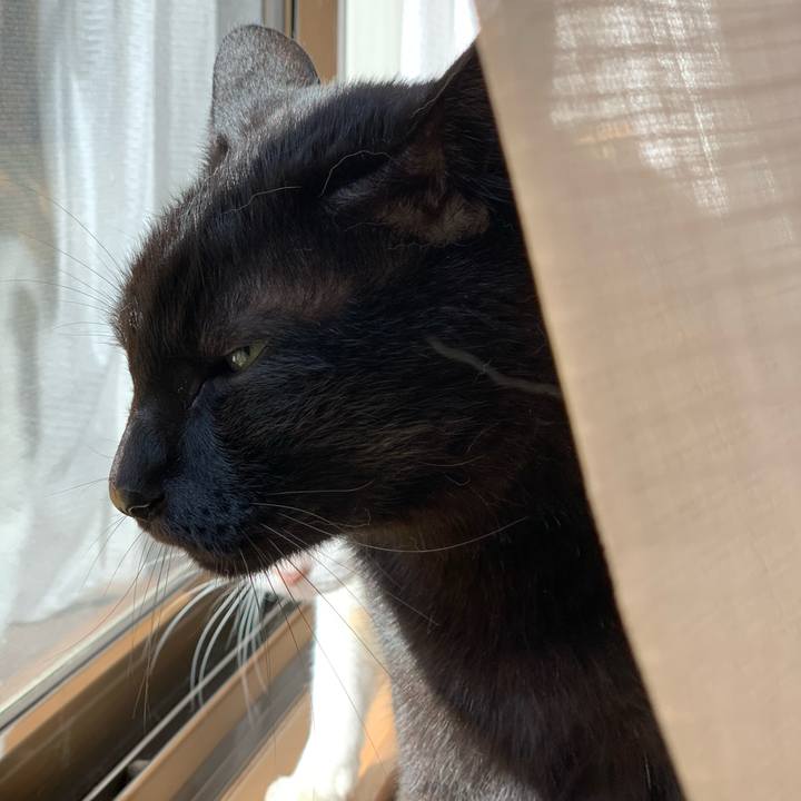 F25d7514 c9c1 4650 bb01 7efa2e038b22 1598664062582