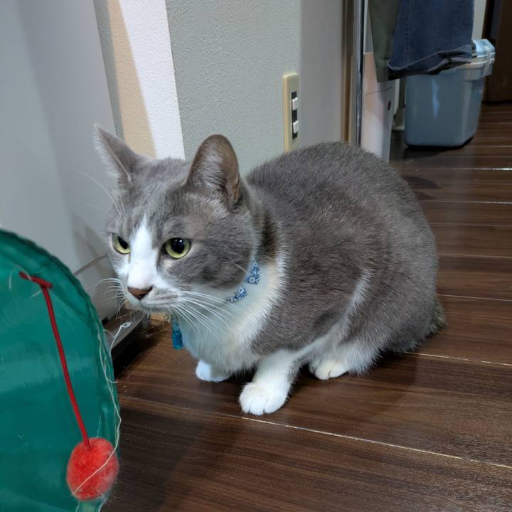 F25d7b19 7c23 4960 abf8 bd543636ce12 1734472509493