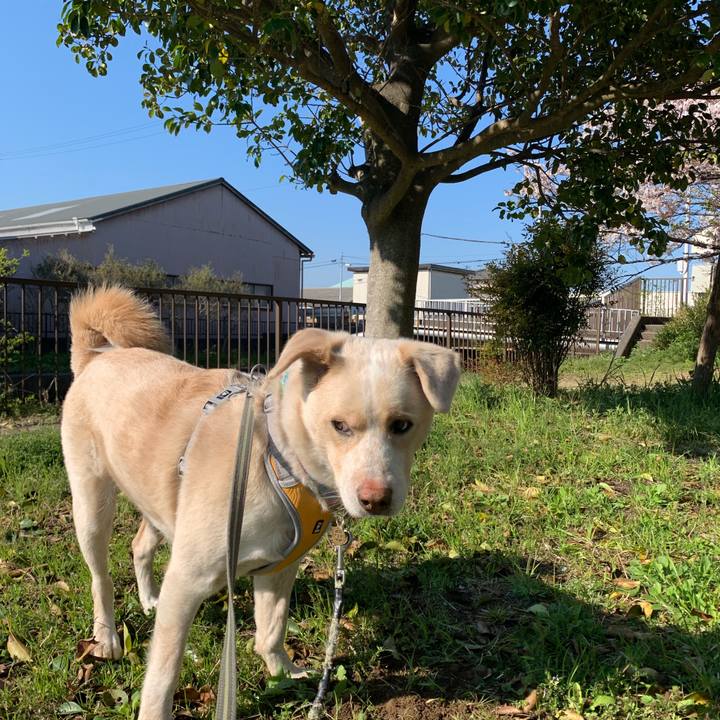 F25d7c2b ce96 4189 9053 cc1ae94cd8c3 1555121286232