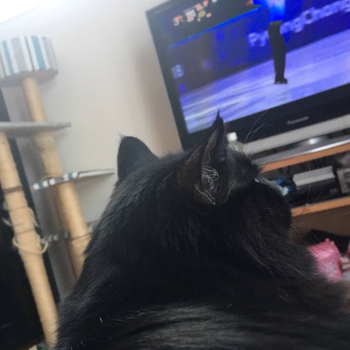 F25d865e 7ac3 42d0 8875 37f6fd7fd361 1518762911438