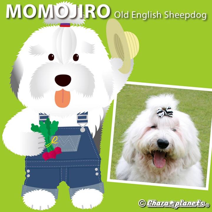 F25da2c0 6992 40c5 8e9f 619c5dc34f1c 1564188322992