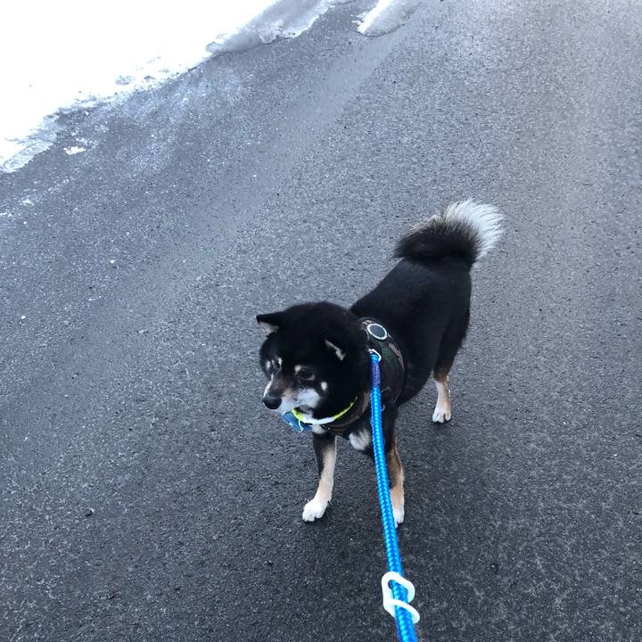 F25de270 56ce 4389 ba24 486e2fdb4112 1551172075982