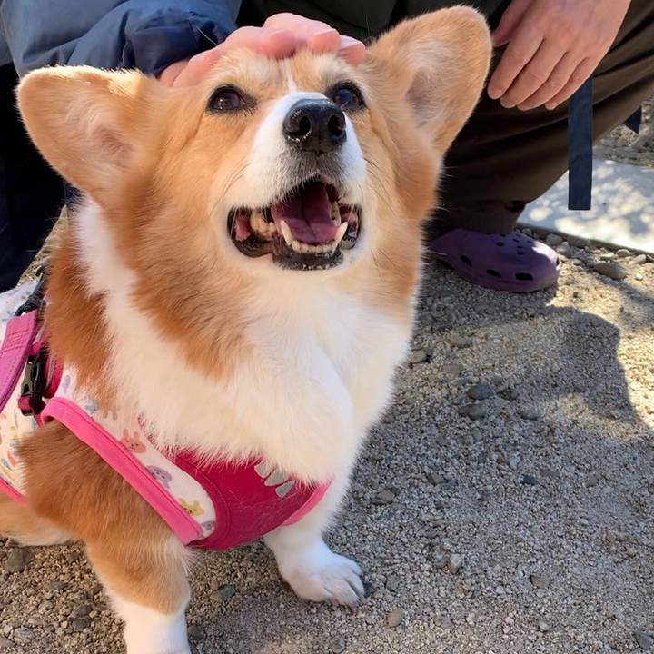 F25dfe3a 3583 4d02 b802 2d204d2012cb 1675052104158