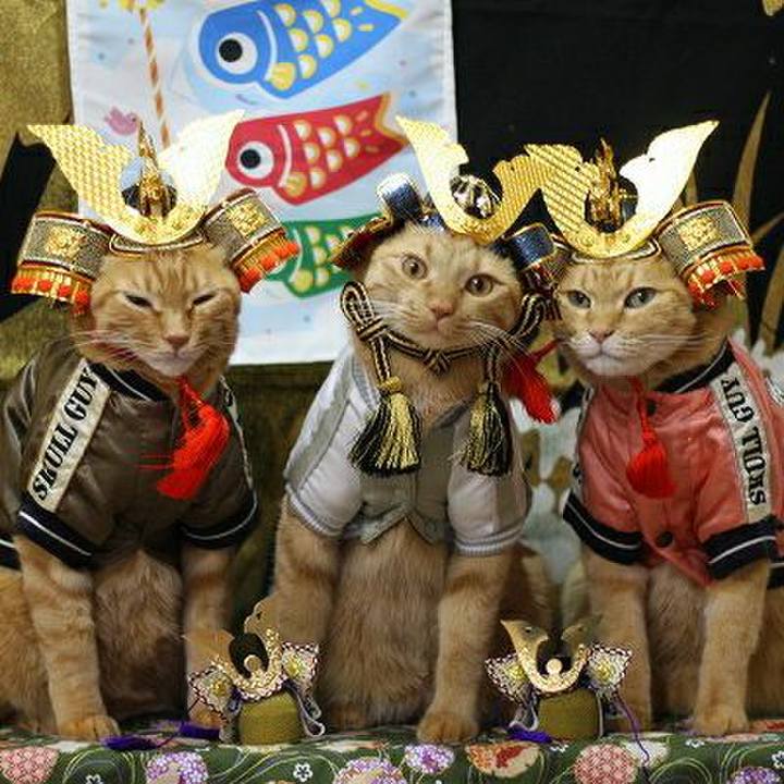 F25e14e0 5045 4ee7 b4f0 94fd680842db 1588606404098