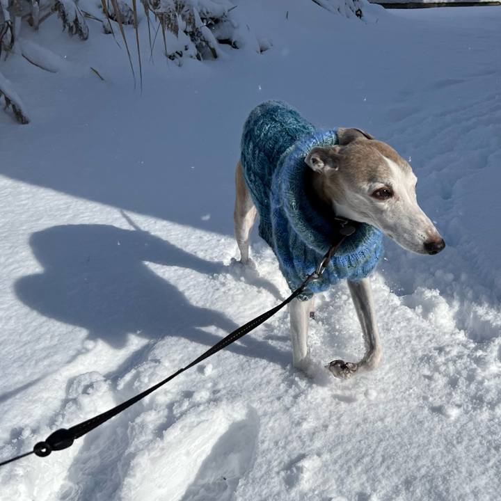 F25e1718 a65f 4feb 9355 1a77840020c7 1764836181234