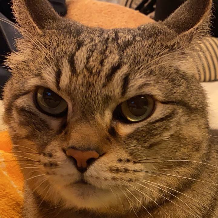 F25e19a2 e402 4559 a957 3964a5aceac2 1651876165482