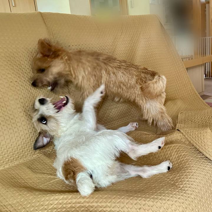 F25e1e9a 62d2 49db bd87 c15594ee3f6e 1723442695583