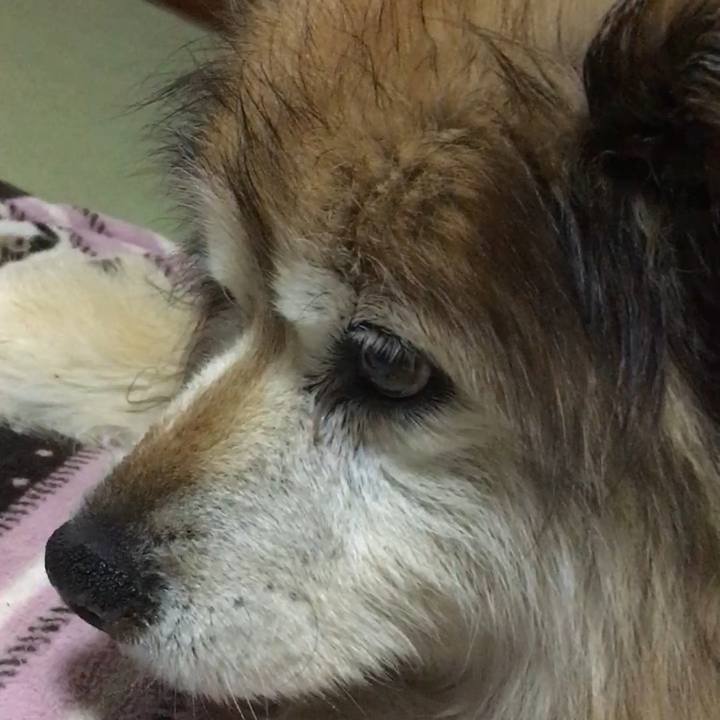 F25e2bbe b5b3 4ffc 8142 006b31f6c599 1552994863303