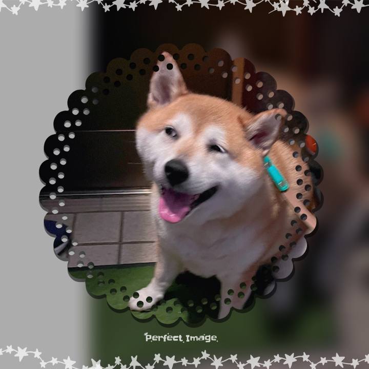 F25e3d63 3348 4215 aa79 29d359ef9118 1690499828693