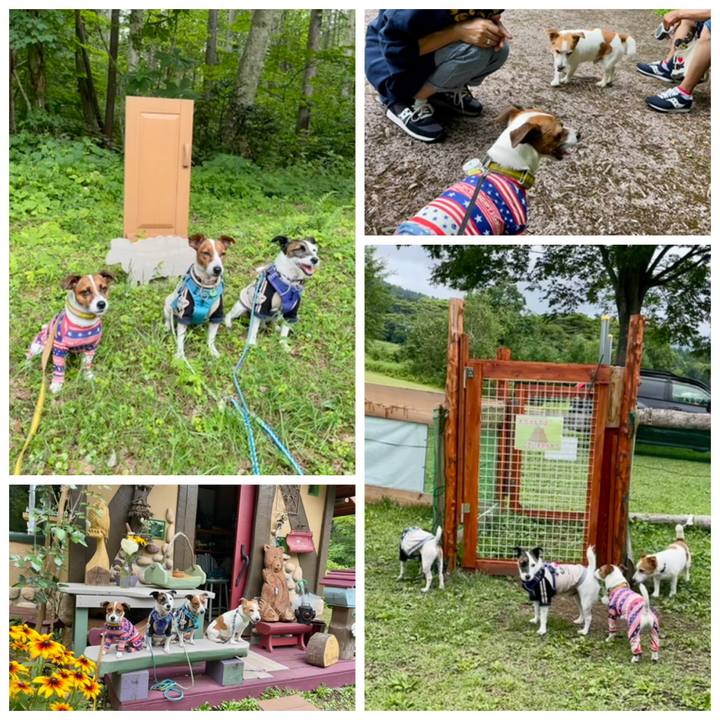 F25e3f81 a598 45d4 95ef 0de3825b502f 1658136575763