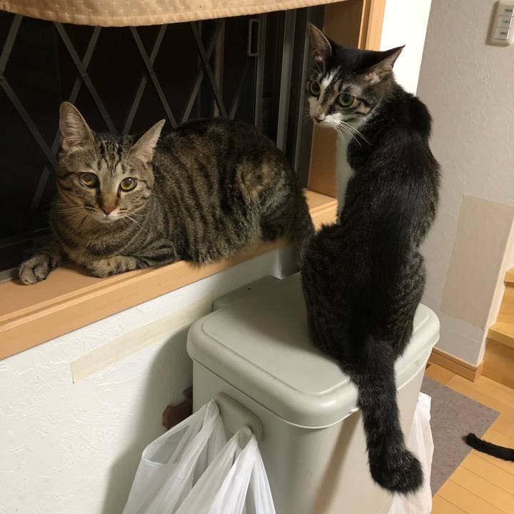 F25e4ff7 fb04 45dc b3be 7dfb1698564d 1536781724932