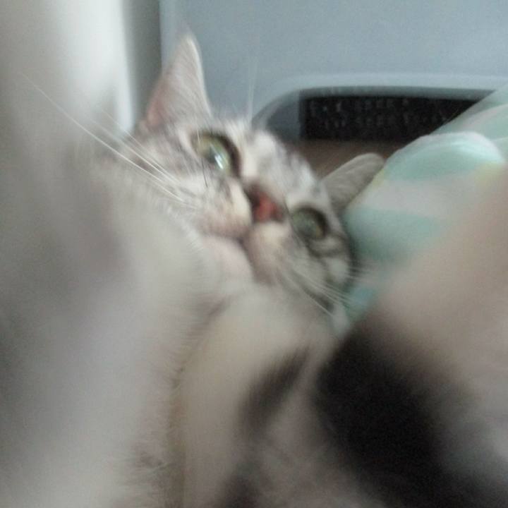 F25e575a 9ace 48dd 9aa0 6bc0912e9410 1562239578982