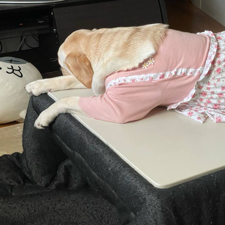 F25e5996 6149 4247 9406 25e786553cd4 1641595800573