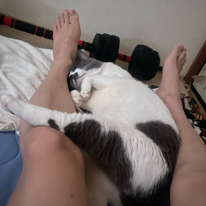 F25e7623 3cb2 47c6 b4c7 8253f6cf77a3 1752788058013