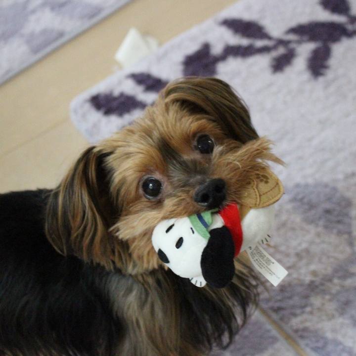 F25eaba5 502c 4248 8395 bff32e07dbe3 1534054117720