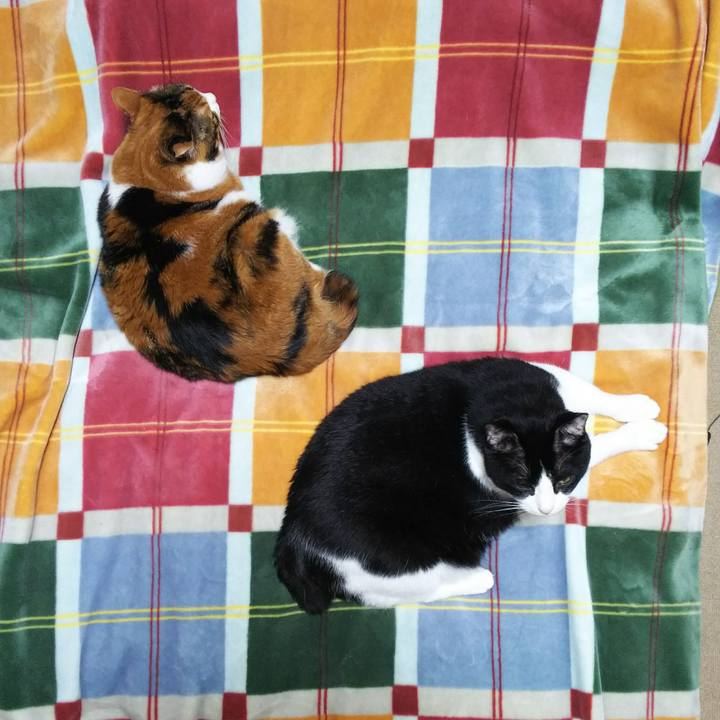 F25ed8eb 8ecb 4348 8cb5 0f68cfe8754c 1539433521289