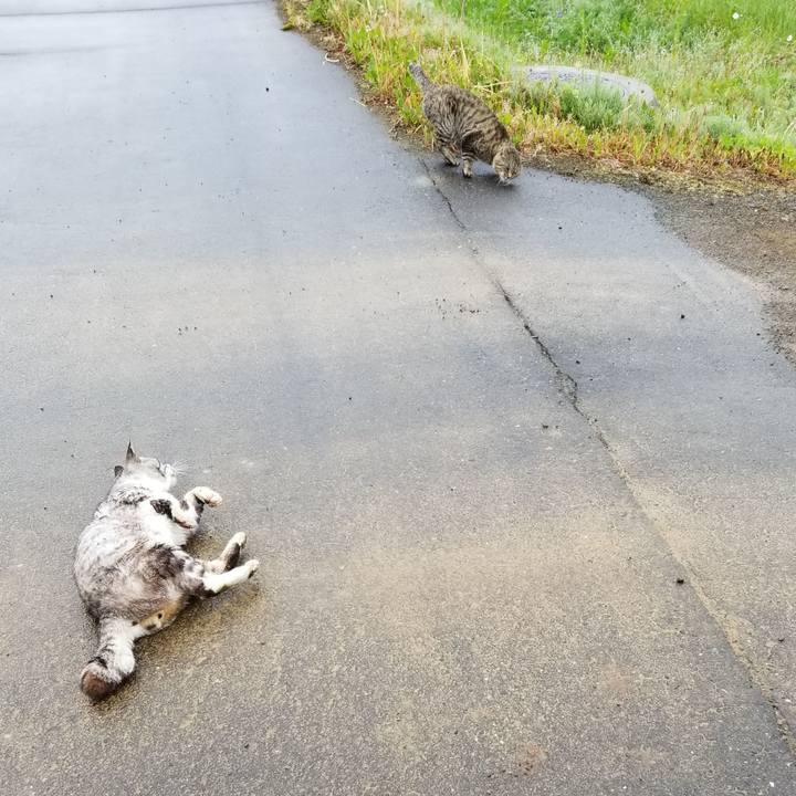 F25ef310 fd76 4fed a2e6 8716f71f48af 1623716211857