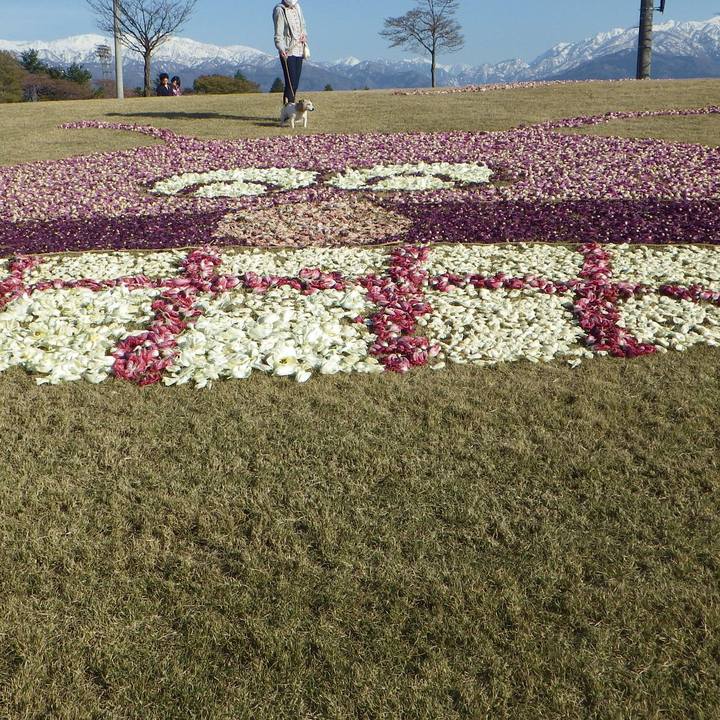 F25ef5f3 924f 43cc 8b64 614d321804f9 1555763116406