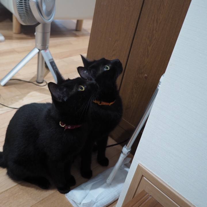 F25f3151 4079 42c7 ab59 f70ff29cf248 1537608815871