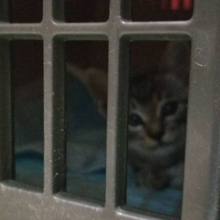 F25f4f88 de0f 445f be98 6543869b16fd 1691680397803