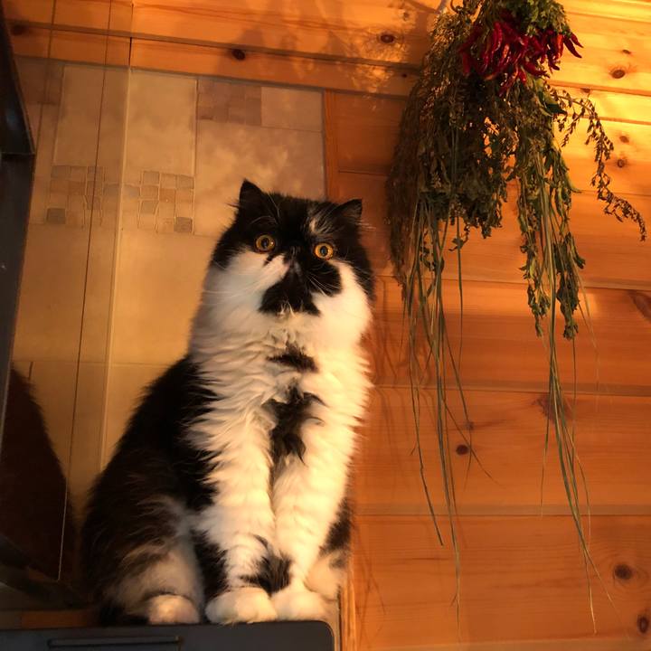 F25f5d17 be81 455e 8b6d 09d7347504fb 1572249385997