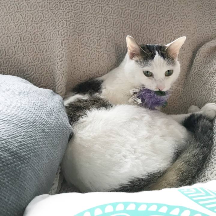 F25f7901 68d1 42e7 8b73 0ec12b9a5ff6 1528704240103