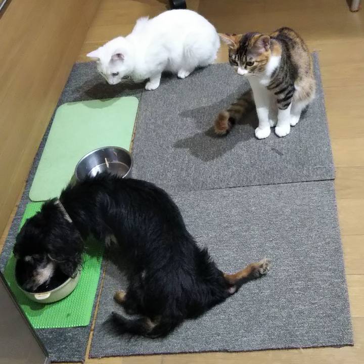 F25facb1 91ac 4f02 9468 cdc47b85807f 1636533834591