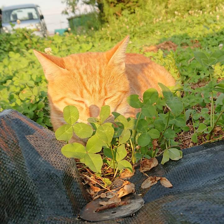 F25fb17f 6d82 4a71 aa78 3623e560ee28 1564822015008