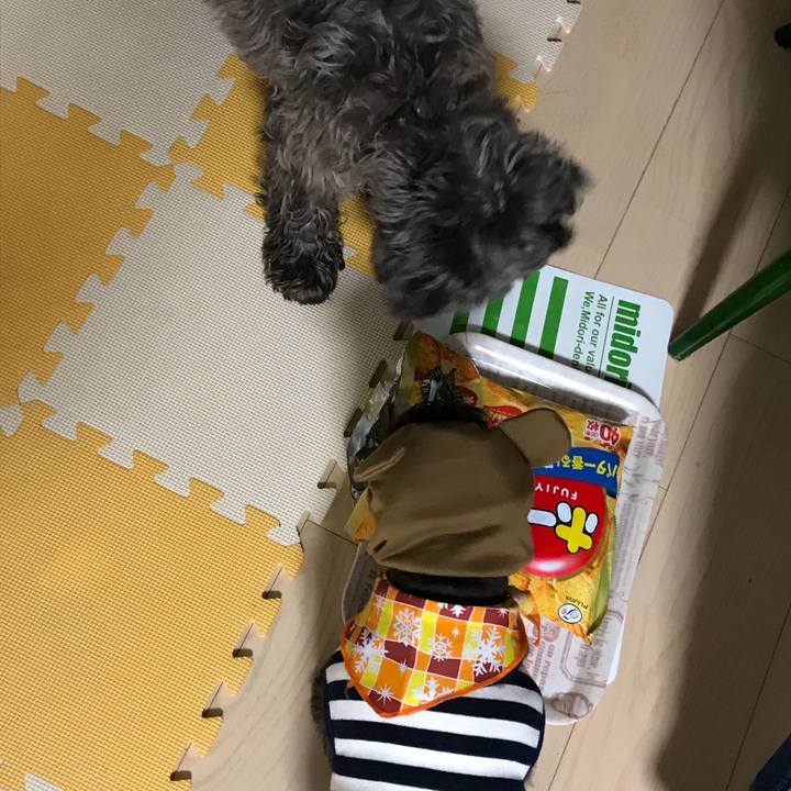 F25fba86 3992 44f5 99eb 6995b779a697 1511006540645