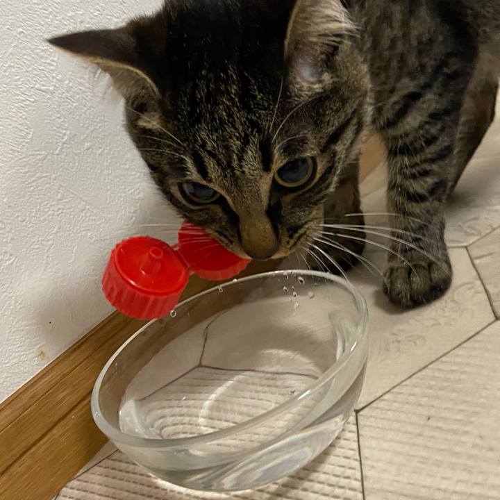 F25fc4aa 5967 4304 a0ec 665d7291081b 1620560611016