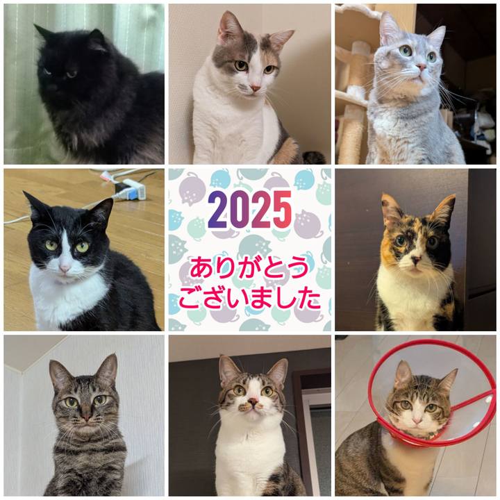 F2600c46 af01 44b9 9c0e 79e7e1c23fab 1767098567588