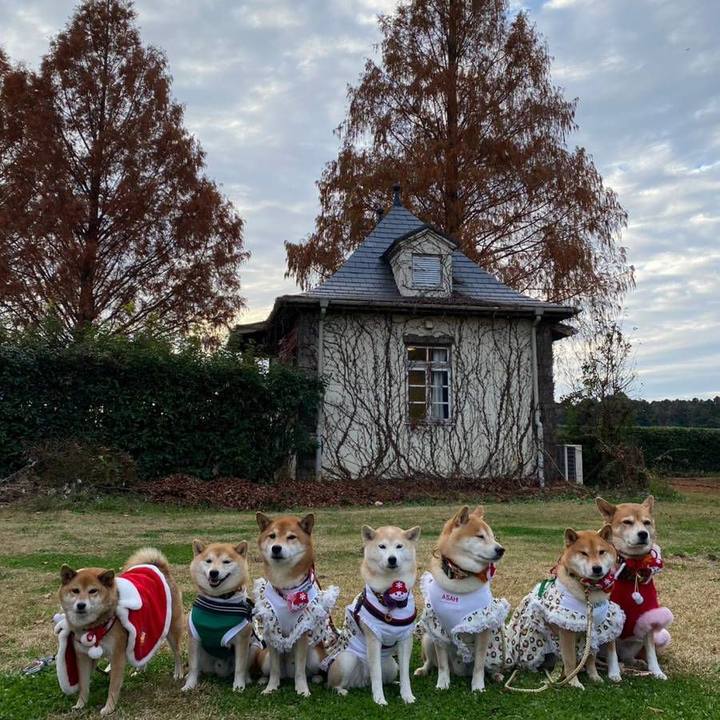 F26037fe f82c 4451 98b2 fdc135cb642f 1670318990573