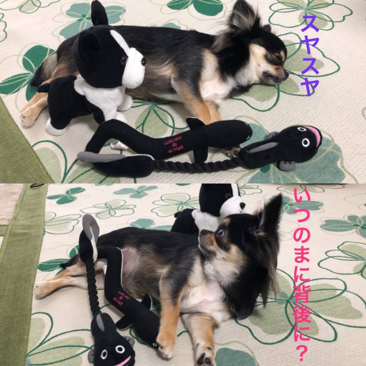 F2603c3e 7b91 449a a281 df2898d1137c 1562930808517