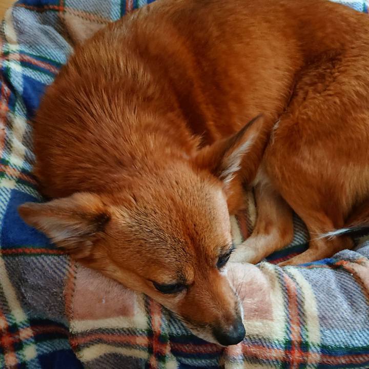 F2603d6c f3f2 432d b7d5 a3c517cb5538 1573951797003