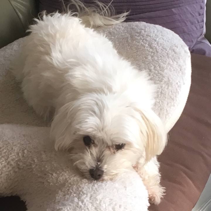 F2609928 d15c 4d24 8737 ade4e75b7af1 1526309335350