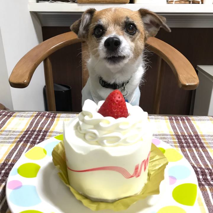 F260f745 cfc5 4915 ba15 9752447ba055 1553085391894