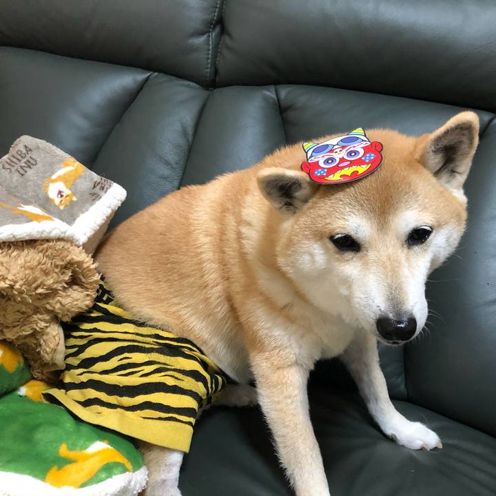 F260ff15 83c2 4c1e 82e8 0e34b166a022 1580703676578