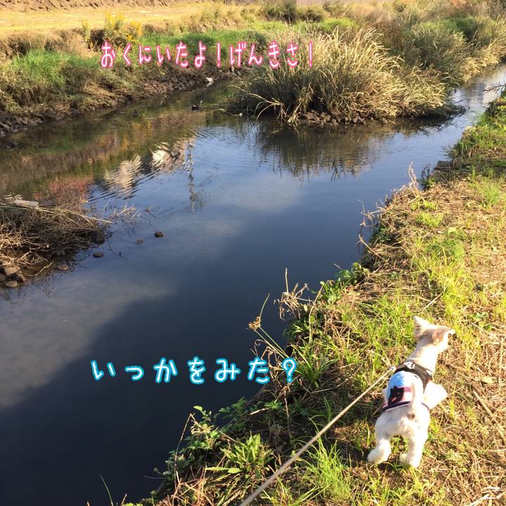 F2610a0e 572a 4d4e ba05 642787da2d00 1540626531241