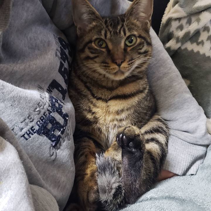 F2612d01 0c34 4892 8856 ff28ced366a5 1548799977832