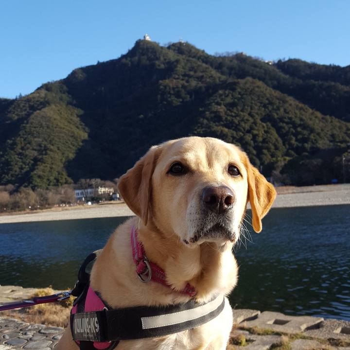 F2612f2c 4e0d 47ab 8e4c b2faf928867c 1581424698784