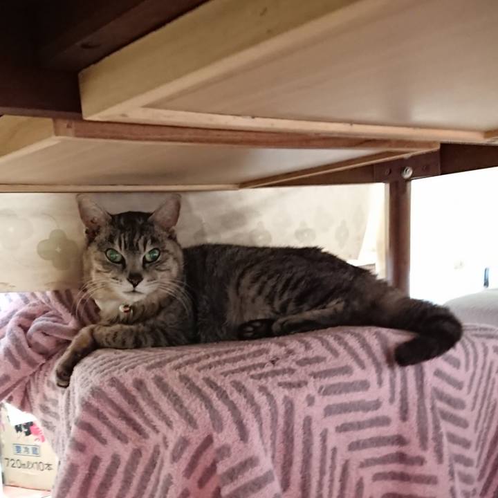 F26140c5 afd4 4ae1 9635 4e55aac3ae6d 1588632562418