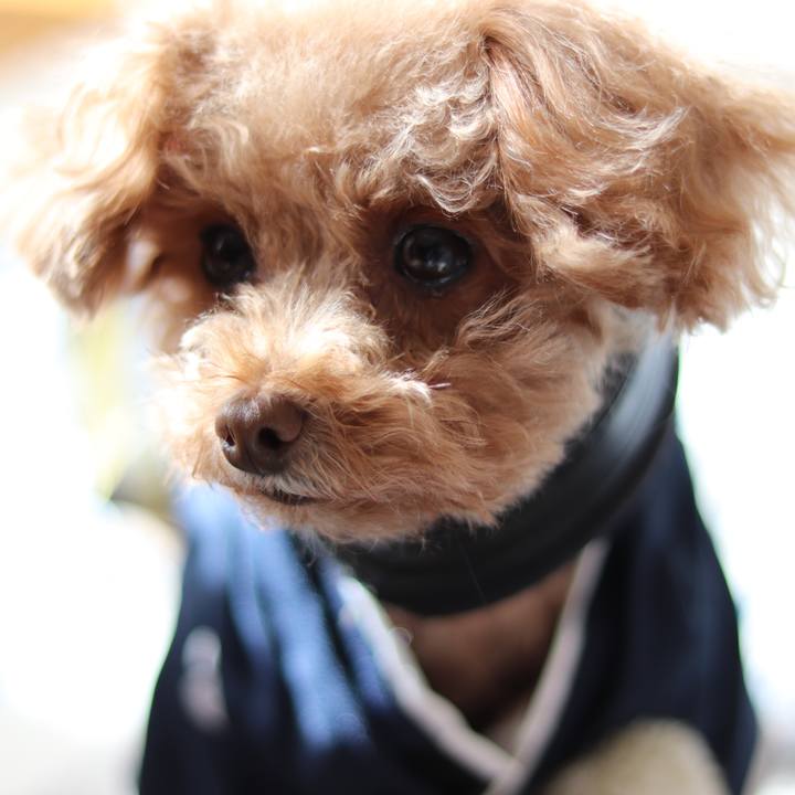 F2616267 badb 41fd 8add 1c928c6e47e4 1546486801395